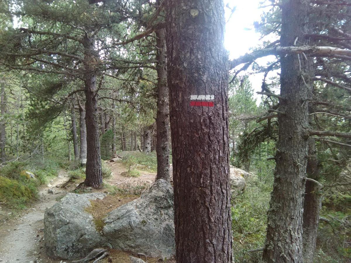 Chalet Bois Au Milieu Des Pyrenees LʼHospitalet-près-lʼAndorre エクステリア 写真