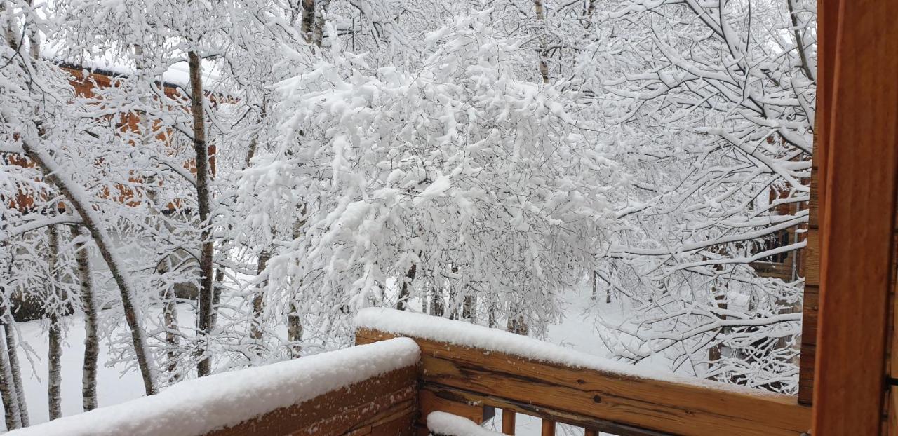 Chalet Bois Au Milieu Des Pyrenees LʼHospitalet-près-lʼAndorre エクステリア 写真